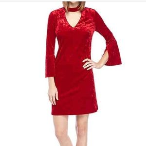 NWT: Taylor Long Sleeve Gigi Neck Crushed Velvet